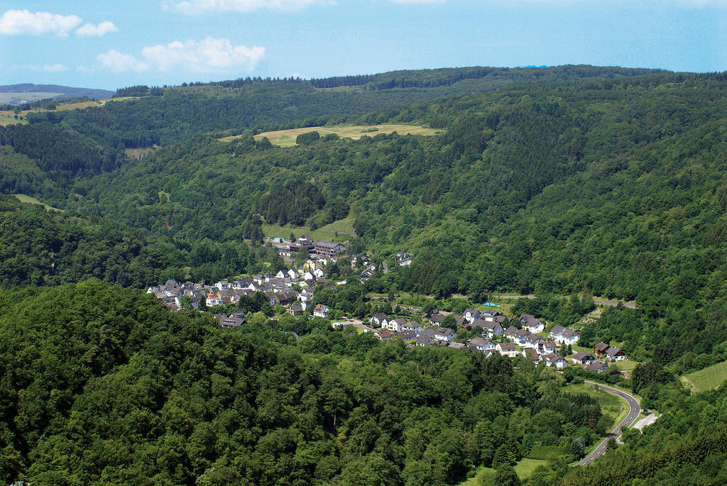 Landhotel Weinhaus Treis Weinähr Exterior foto